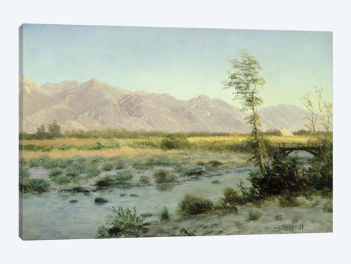Prairie Landscape
