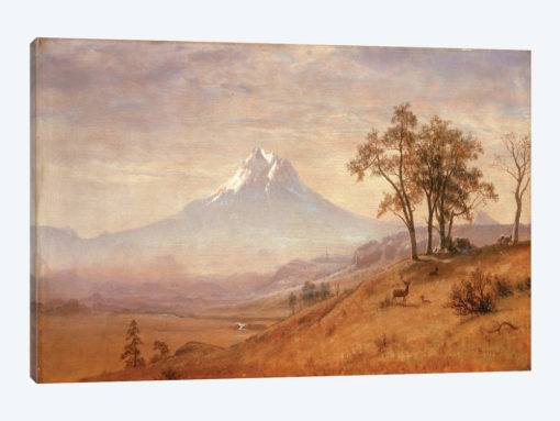 Mount Hood, 1863