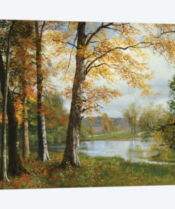 A Quiet Lake