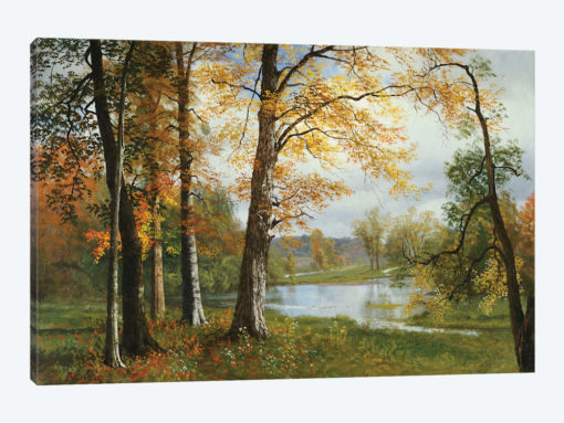 A Quiet Lake