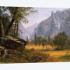 Yosemite Valley