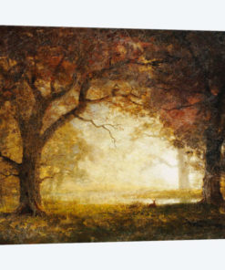 Forest Sunrise