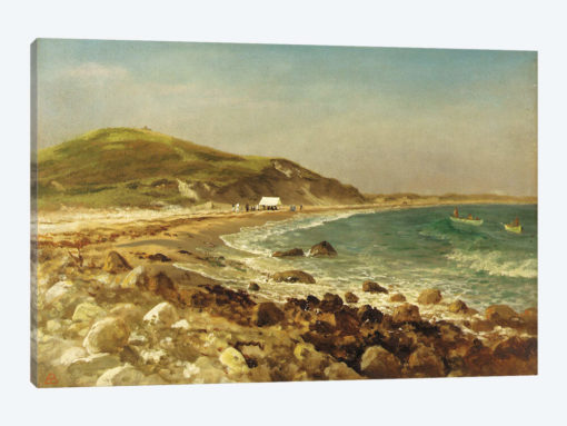Coastal Scene