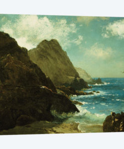 Farallon Islands