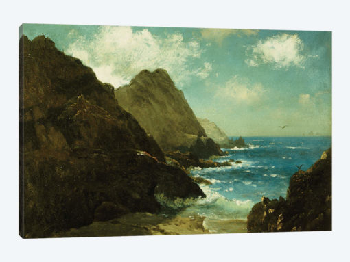 Farallon Islands