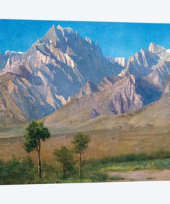 Camp Independence, Colorado, 1873