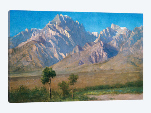 Camp Independence, Colorado, 1873
