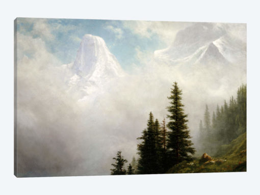 High in the Mountains