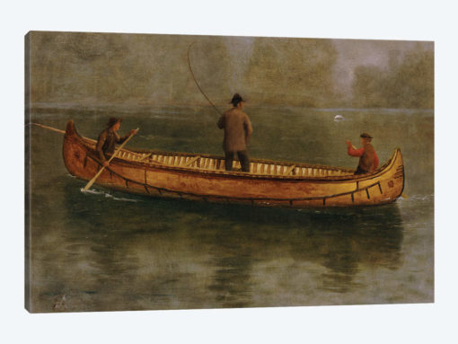 Fishing from a Canoe