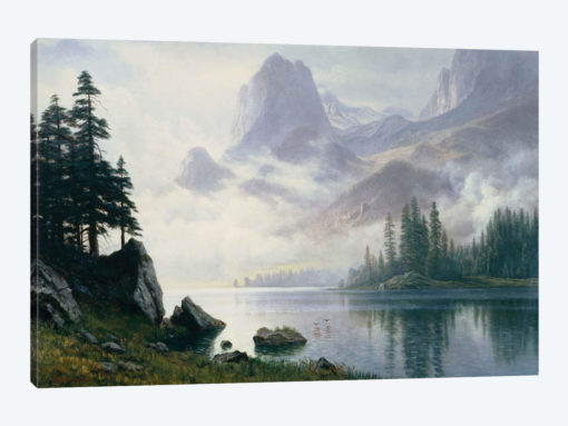 Mountain out of the Mist