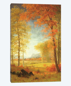 Autumn in America, Oneida County, New York