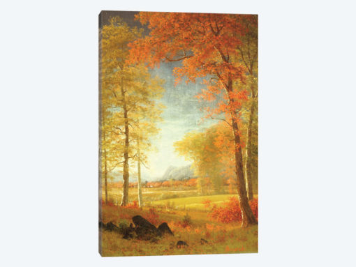 Autumn in America, Oneida County, New York