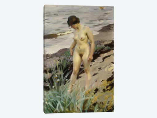 Sandhamn Study, 1914