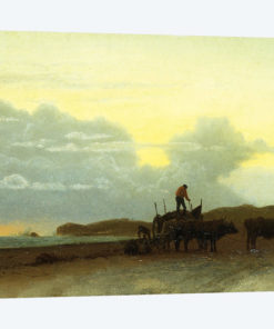 Coastal View, Newport, 1861