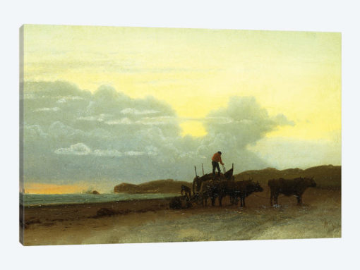Coastal View, Newport, 1861