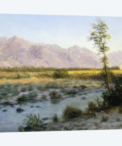 Prairie Landscape