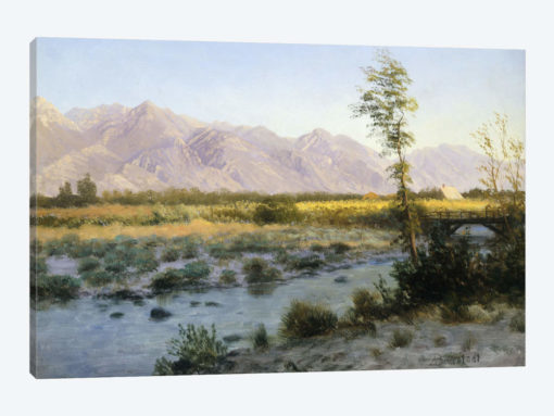 Prairie Landscape
