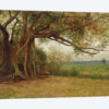Study for 'The Landing of Columbus', 1892