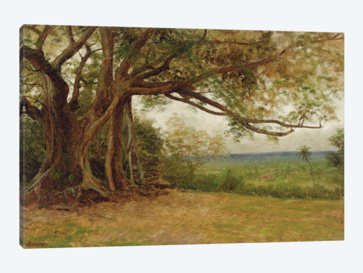 Study for 'The Landing of Columbus', 1892
