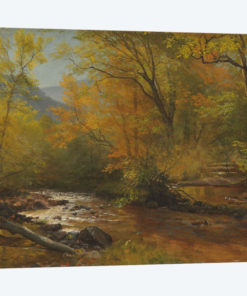 Brook in woods