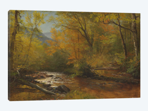 Brook in woods