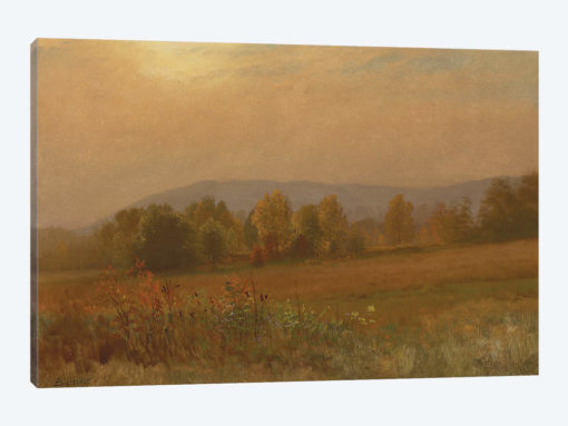 Autumn landscape, New England
