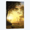 Light in the Forest,