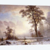 Valley of the Yosemite -Snow Fall,