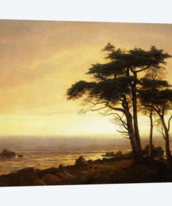 California Coast
