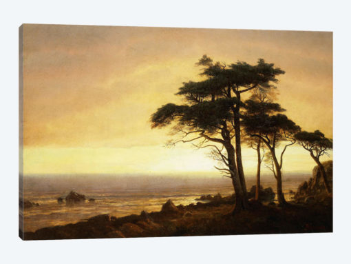 California Coast