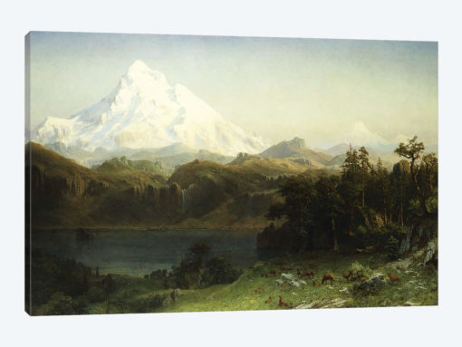 Mount Hood in Oregon,
