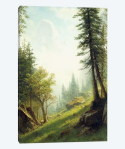 Among the Bernese Alps,