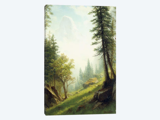 Among the Bernese Alps,