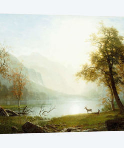Valley in King's Canyon