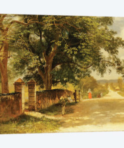 Street in Nassau, c.1878