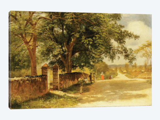 Street in Nassau, c.1878