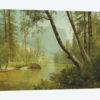 Sunlit Forest