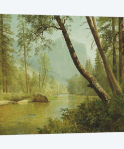 Sunlit Forest