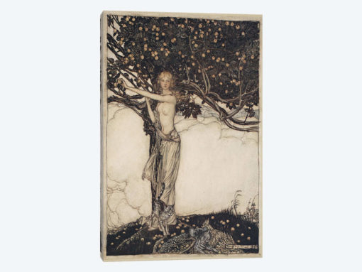 Freia, The Fair One (Illustration From Richard Wagner's The Rhinegold & The Valkyrie), 1910