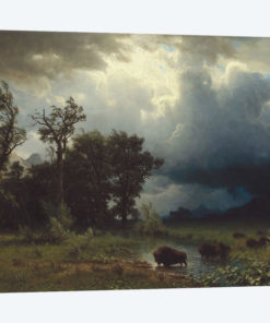 Buffalo Trail: The Impending Storm, 1869