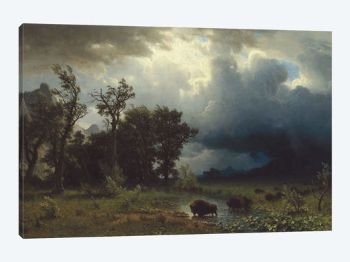 Buffalo Trail: The Impending Storm, 1869