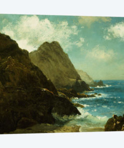 Farallon Islands