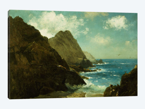 Farallon Islands
