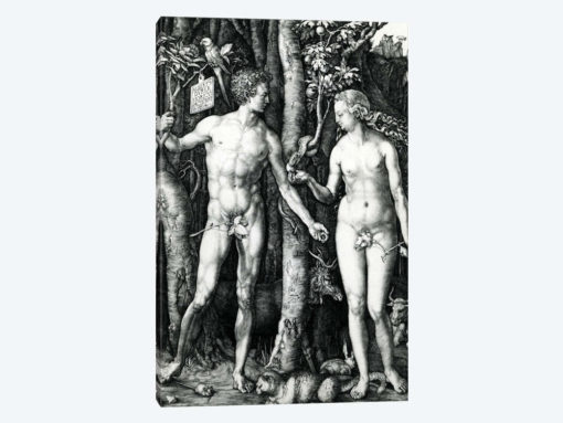 Adam And Eve, 1504