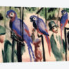 Blue Parrots