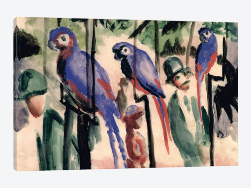 Blue Parrots