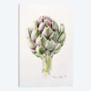 Artichoke Study, 1993