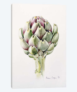 Artichoke Study, 1993