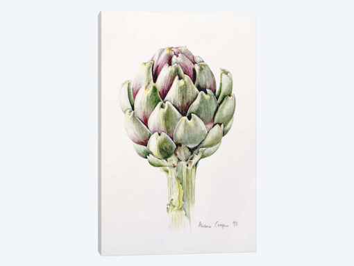 Artichoke Study, 1993