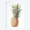 Pineapple, 1997